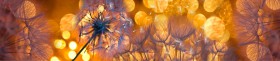 Кухонный фартук Мерцание Одуванчики золотистые 3 серебро в Верхоянске - verhoyansk.katalogmebeli.com | фото